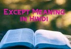 Except Meaning in Hindi