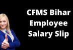 CFMS Bihar Employee Salary Slip