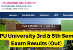 Palamuru University Results