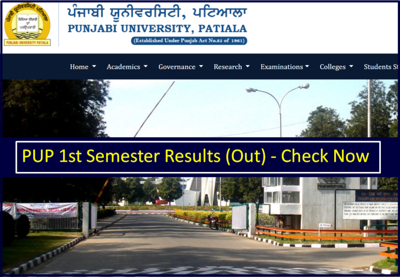 Punjabi University Results