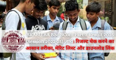 BRABU BA BSc BCom Part 3 Result 2025